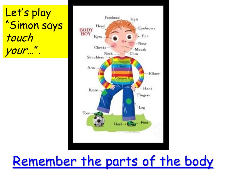 Remember the parts of the body Let’s play Simon says touch your… .