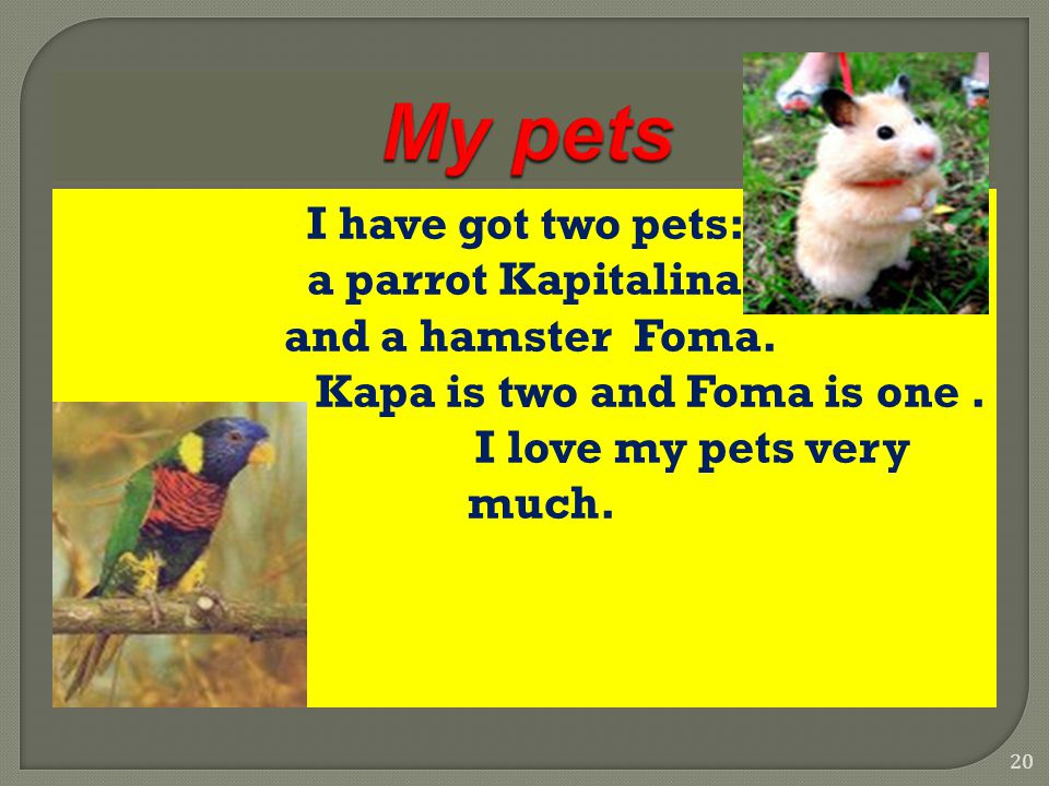  My name is Kristina.  I`m a pupil.  I study at school in the 5 th form.