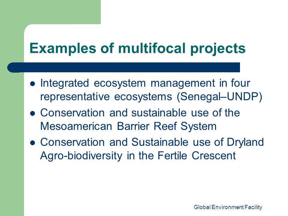 Global Environment Facility Examples of multifocal projects Integrated ecosystem management in four representative ecosystems (Senegal–UNDP) Conservation and sustainable use of the Mesoamerican Barrier Reef System Conservation and Sustainable use of Dryland Agro-biodiversity in the Fertile Crescent