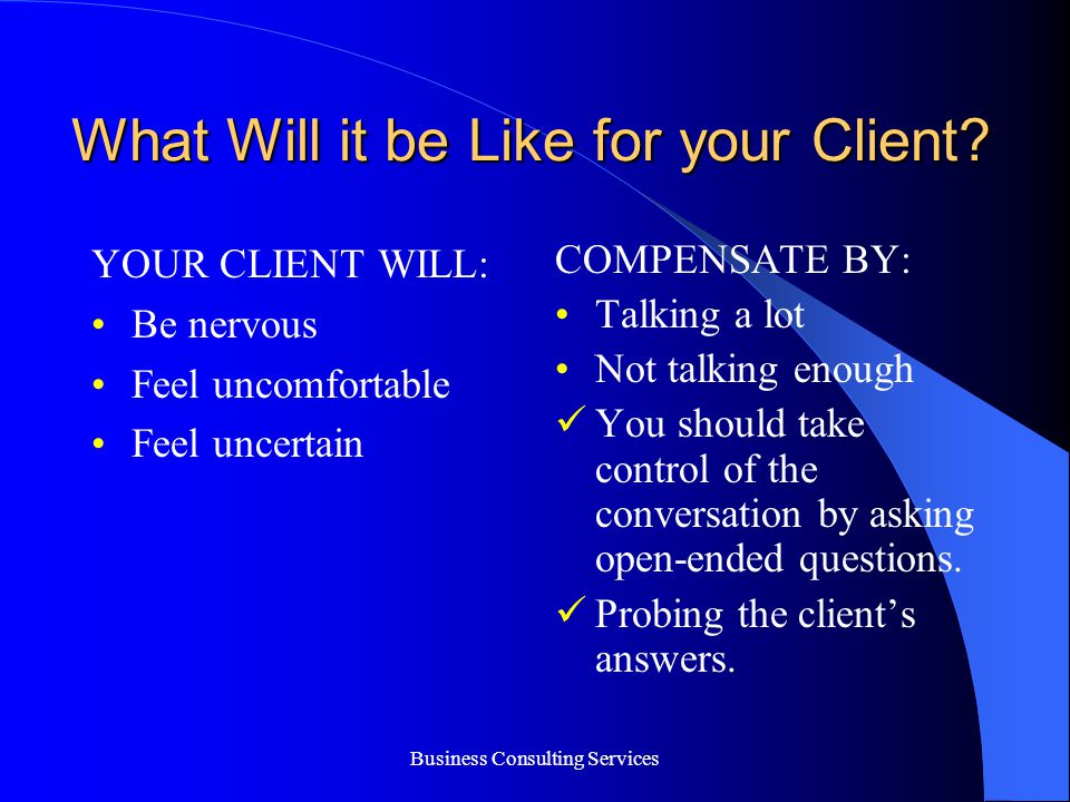 Business Consulting Services What Will it be Like for your Client.