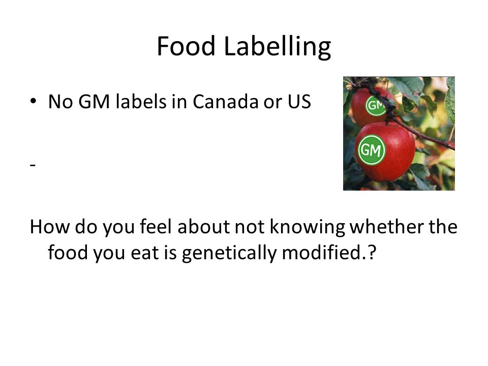 Food Labelling No GM labels in Canada or US - How do you feel about not knowing whether the food you eat is genetically modified.