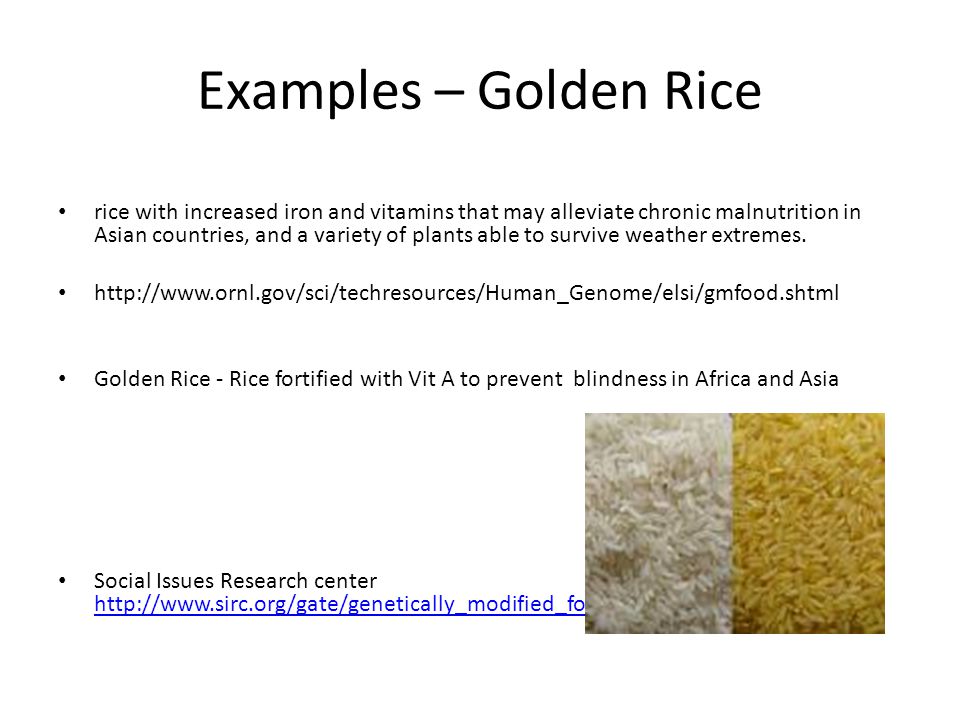 Examples – Golden Rice rice with increased iron and vitamins that may alleviate chronic malnutrition in Asian countries, and a variety of plants able to survive weather extremes.