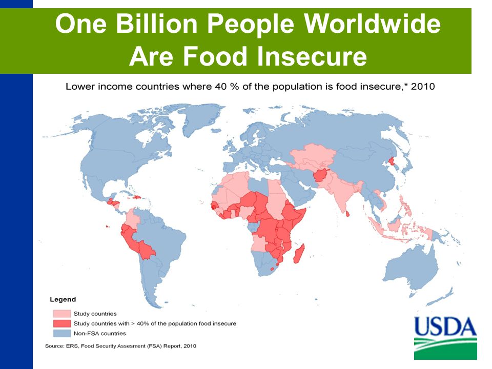 One Billion People Worldwide Are Food Insecure