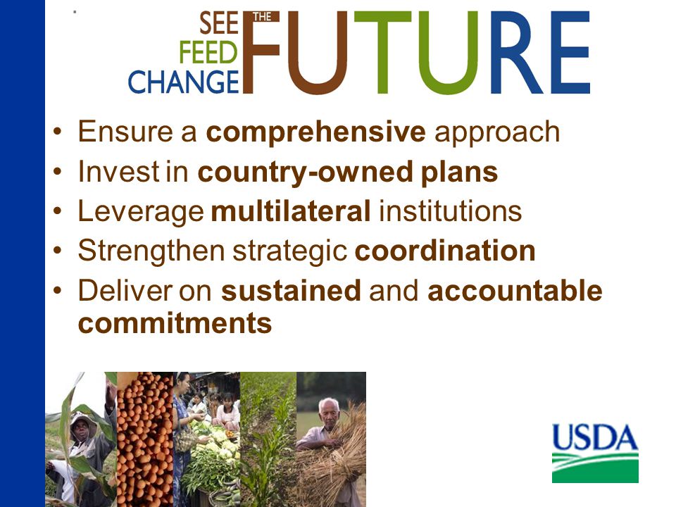 Ensure a comprehensive approach Invest in country-owned plans Leverage multilateral institutions Strengthen strategic coordination Deliver on sustained and accountable commitments A New Approach