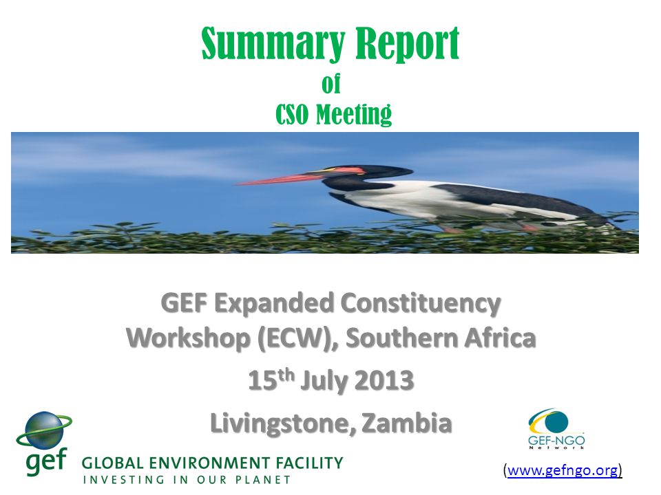 Summary Report of CSO Meeting GEF Expanded Constituency Workshop (ECW), Southern Africa 15 th July 2013 Livingstone, Zambia (
