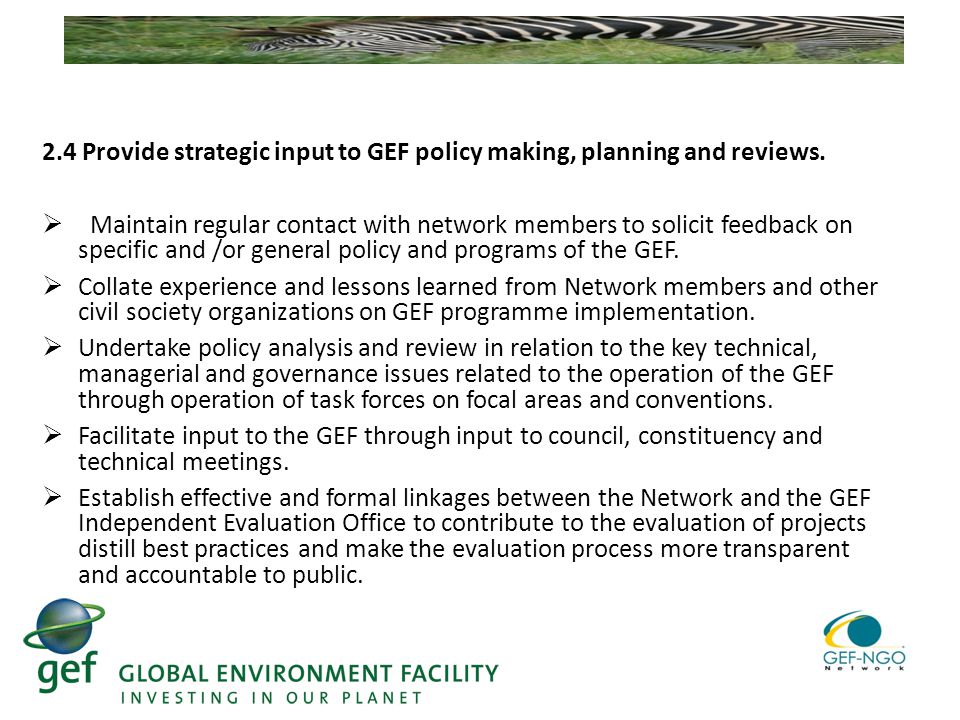 2.4 Provide strategic input to GEF policy making, planning and reviews.