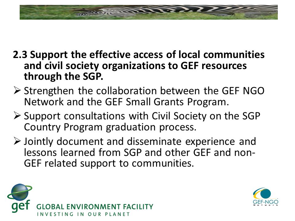 2.3 Support the effective access of local communities and civil society organizations to GEF resources through the SGP.