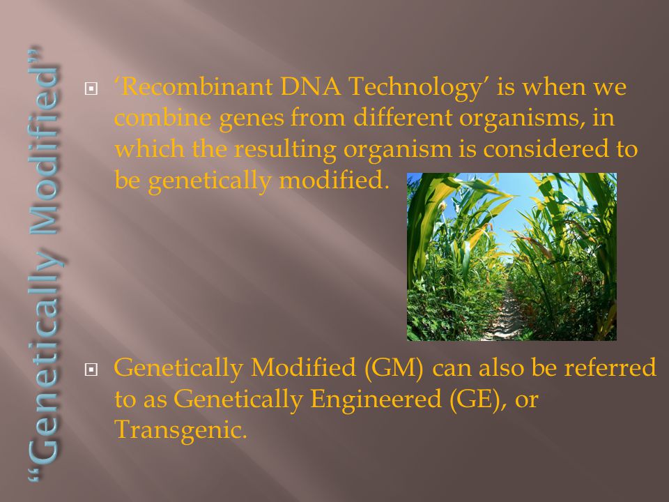  ‘Recombinant DNA Technology’ is when we combine genes from different organisms, in which the resulting organism is considered to be genetically modified.