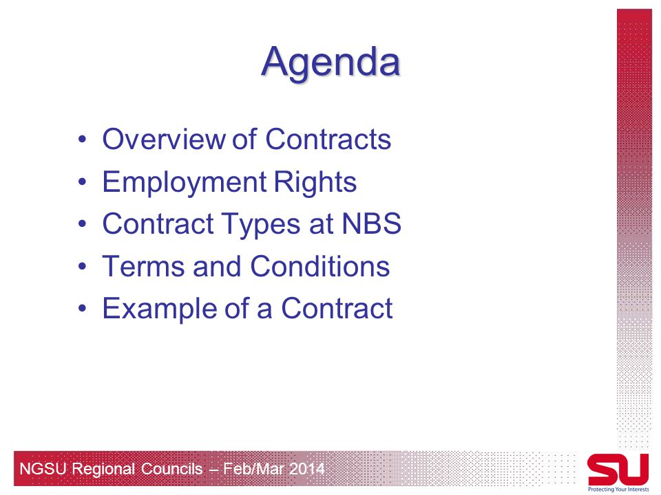 NGSU Regional Councils – Feb/Mar 2014 Agenda Overview of Contracts Employment Rights Contract Types at NBS Terms and Conditions Example of a Contract For information only – not legal advice!