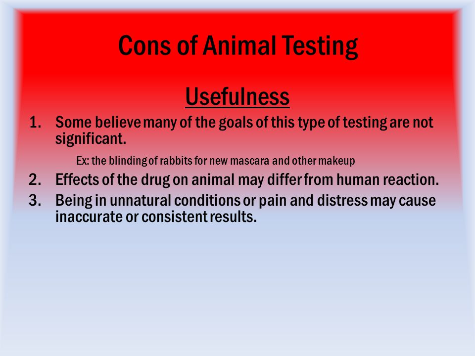 Animal Testing Cons Essay