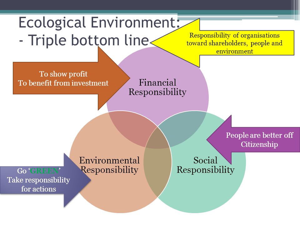 organizational responsibility organizational responsibility