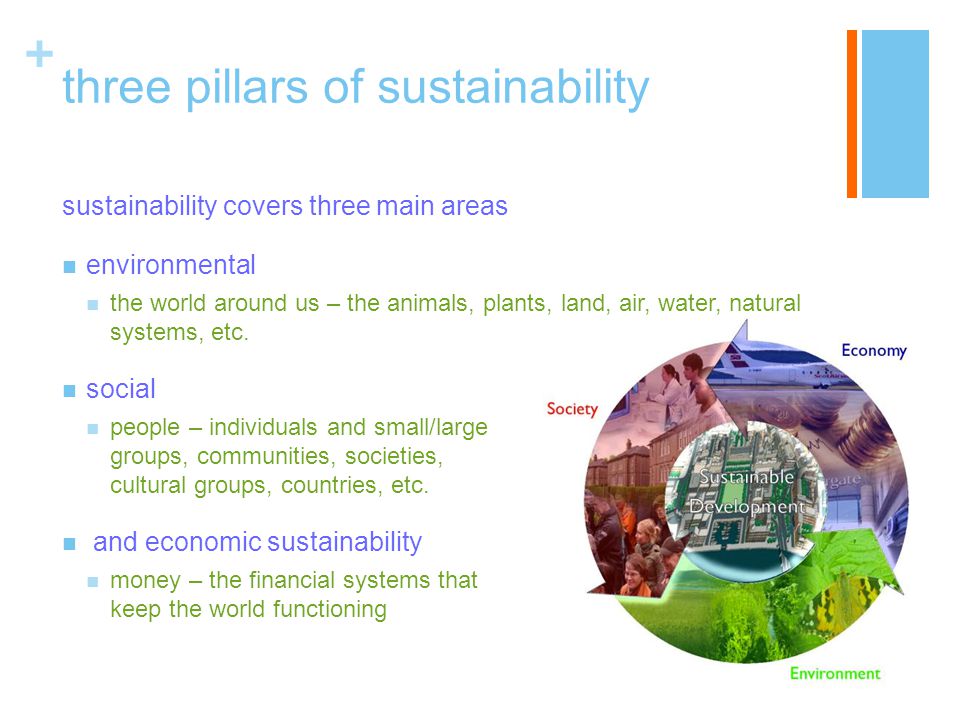 + three pillars of sustainability sustainability covers three main areas environmental the world around us – the animals, plants, land, air, water, natural systems, etc.