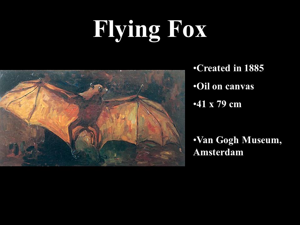 Flying Fox Created in 1885 Oil on canvas 41 x 79 cm Van Gogh Museum, Amsterdam