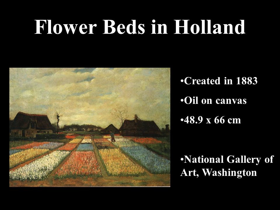 Flower Beds in Holland Created in 1883 Oil on canvas 48.9 x 66 cm National Gallery of Art, Washington