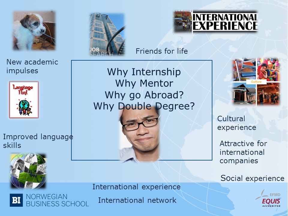Why Internship Why Mentor Why go Abroad. Why Double Degree.
