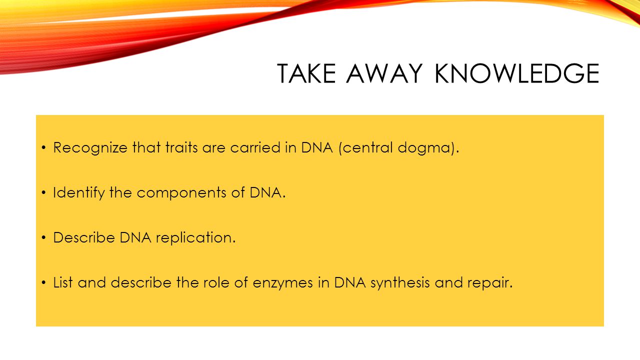 the role and structure of dna Nucleic acid structure refers to the structure of nucleic acids such as dna and rnachemically speaking, dna and rna are very similar nucleic acid structure is often divided into four different levels: primary, secondary, tertiary and quaternary. the role and structure of dna Nucleic acid structure refers to the structure of nucleic acids such as dna and rnachemically speaking, dna and rna are very similar nucleic acid structure is often divided into four different levels: primary, secondary, tertiary and quaternary.