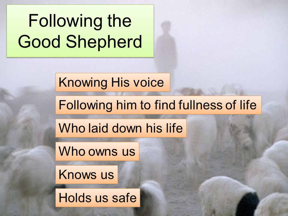 Following the Good Shepherd Knowing His voice Following him to find fullness of life Who laid down his life Who owns us Knows us Holds us safe