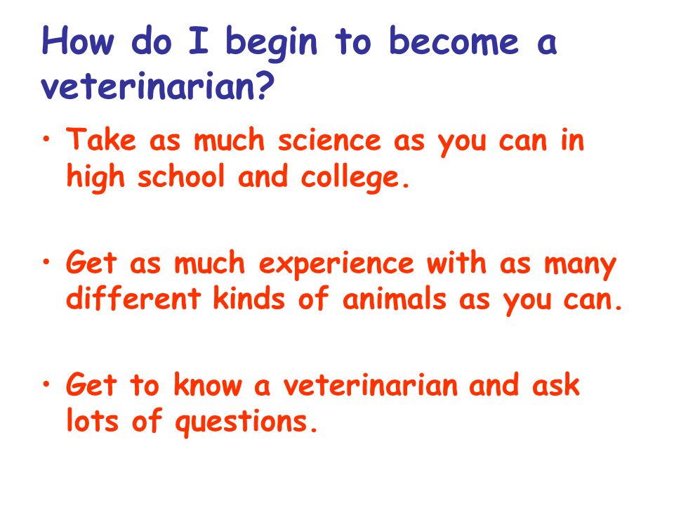 How do I begin to become a veterinarian.
