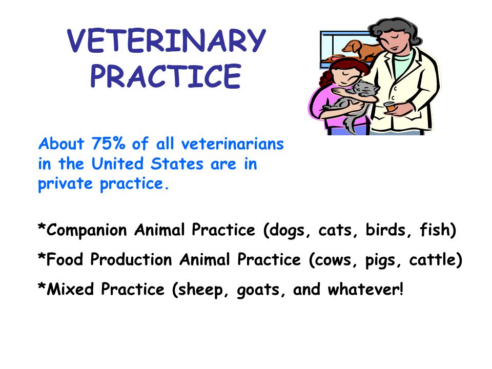 VETERINARY PRACTICE About 75% of all veterinarians in the United States are in private practice.
