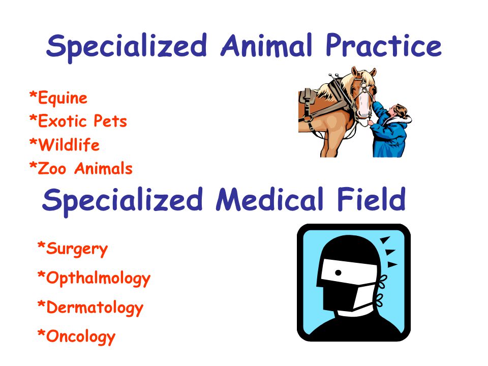 Specialized Animal Practice *Equine *Exotic Pets *Wildlife *Zoo Animals Specialized Medical Field *Surgery *Opthalmology *Dermatology *Oncology