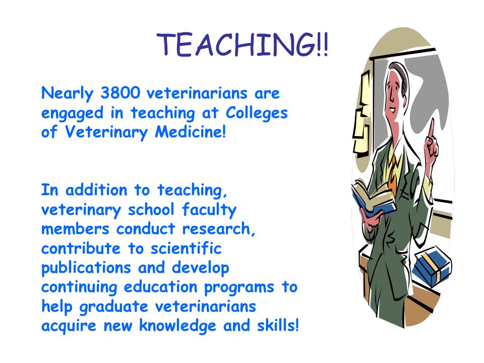 TEACHING!. Nearly 3800 veterinarians are engaged in teaching at Colleges of Veterinary Medicine.
