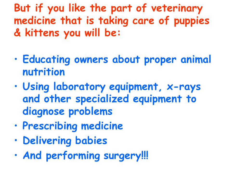 But if you like the part of veterinary medicine that is taking care of puppies & kittens you will be: Educating owners about proper animal nutrition Using laboratory equipment, x-rays and other specialized equipment to diagnose problems Prescribing medicine Delivering babies And performing surgery!!!