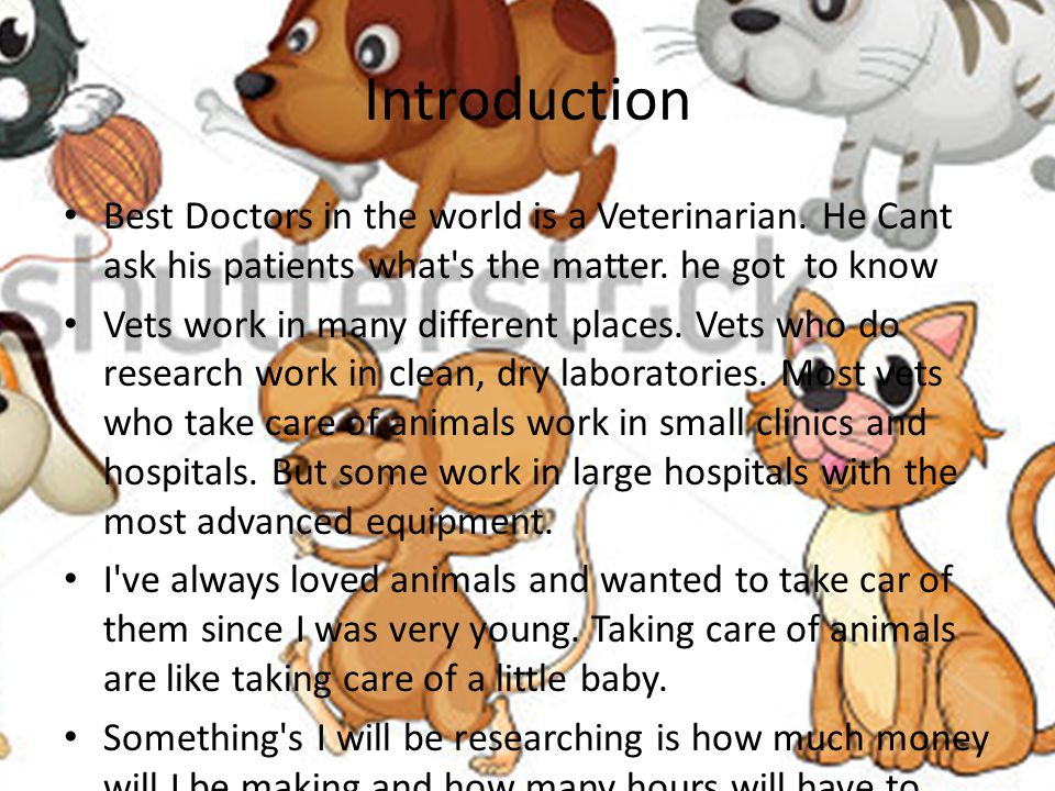 Introduction Best Doctors in the world is a Veterinarian.