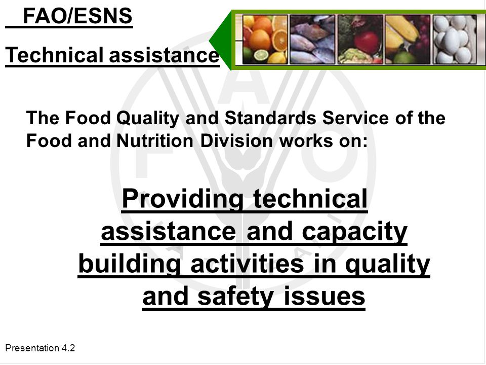 Presentation 4.2 The Food Quality and Standards Service of the Food and Nutrition Division works on: Providing technical assistance and capacity building activities in quality and safety issues FAO/ESNS Technical assistance