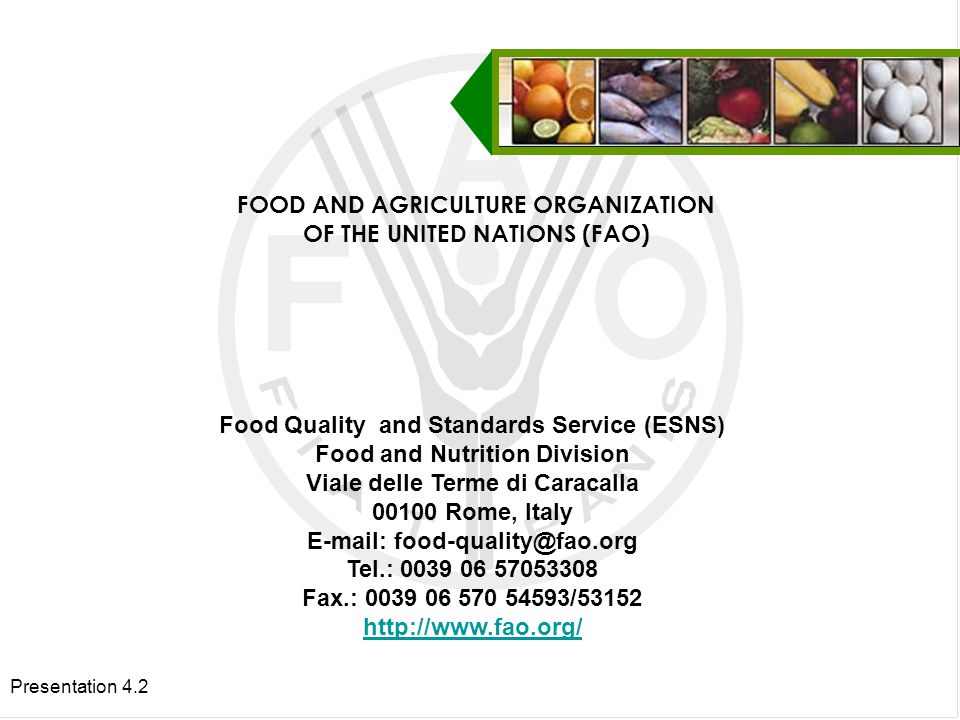 Presentation 4.2 FOOD AND AGRICULTURE ORGANIZATION OF THE UNITED NATIONS (FAO) Food Quality and Standards Service (ESNS) Food and Nutrition Division Viale delle Terme di Caracalla Rome, Italy   Tel.: Fax.: /