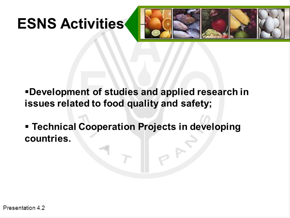 Presentation 4.2  Development of studies and applied research in issues related to food quality and safety;  Technical Cooperation Projects in developing countries.