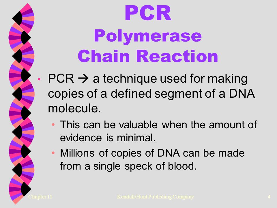Chapter 11 Kendall/Hunt Publishing Company4 PCR Polymerase Chain Reaction PCR  a technique used for making copies of a defined segment of a DNA molecule.