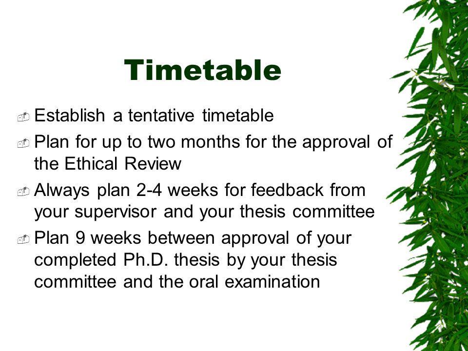 thesis examination committee thesis examination committee