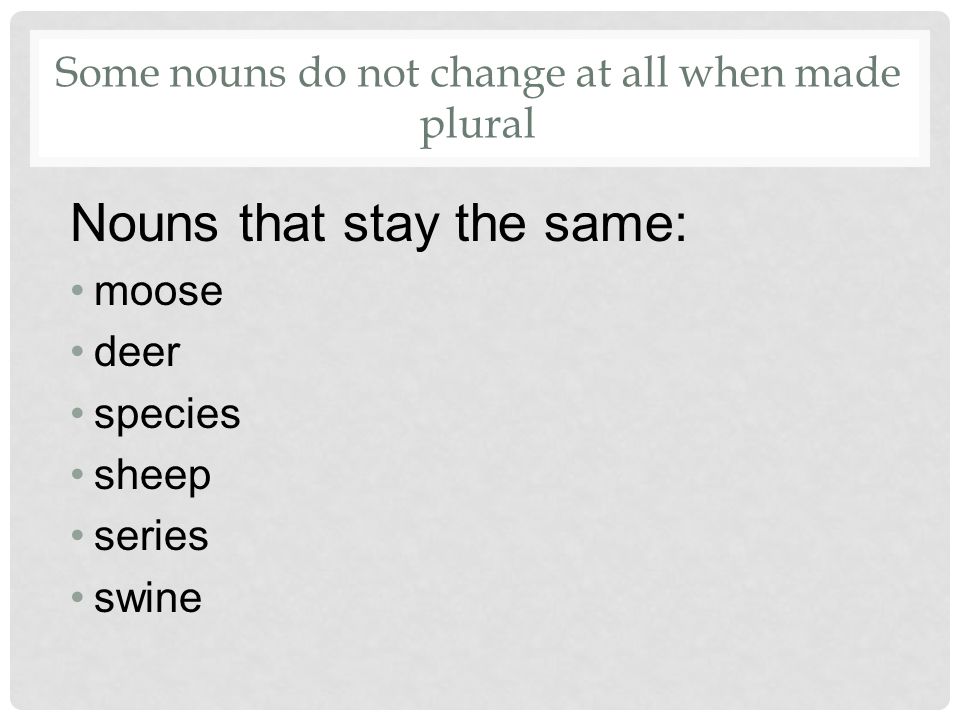 Some nouns do not change at all when made plural Nouns that stay the same: moose deer species sheep series swine