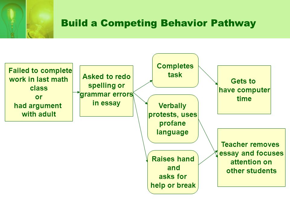 Behavior Essays For Students