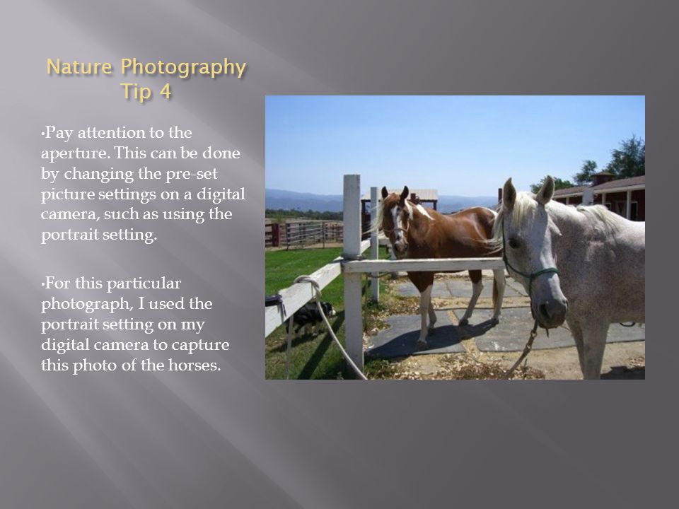 Nature Photography Tip 4 Pay attention to the aperture.