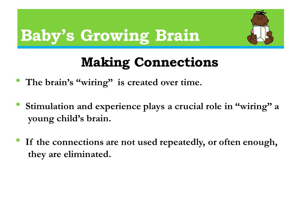 Baby’s Growing Brain Making Connections The brain’s wiring is created over time.