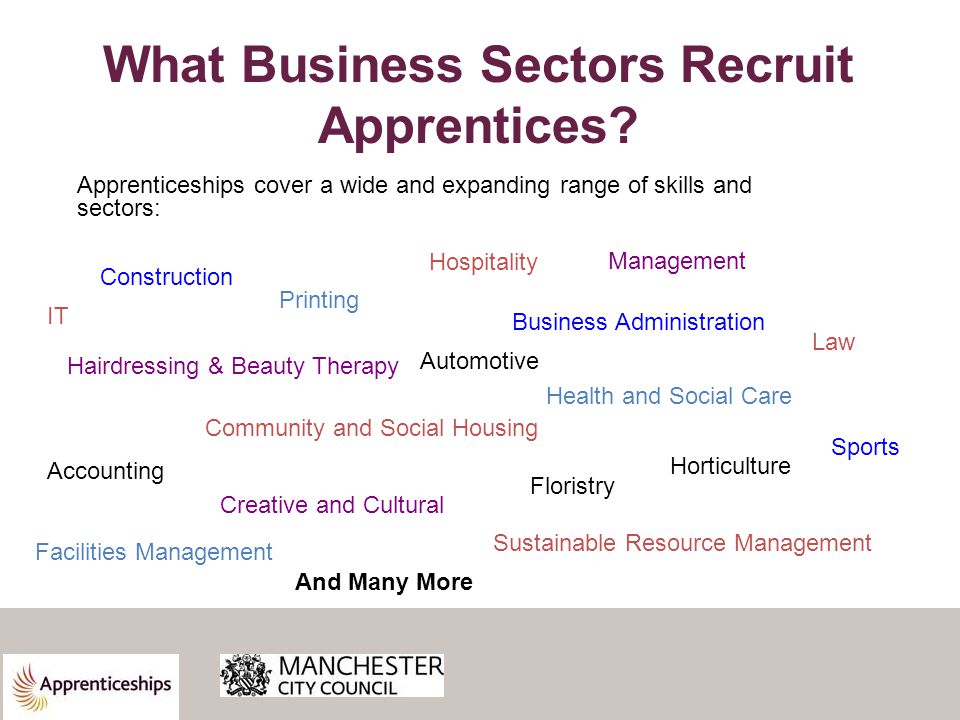 What Business Sectors Recruit Apprentices.