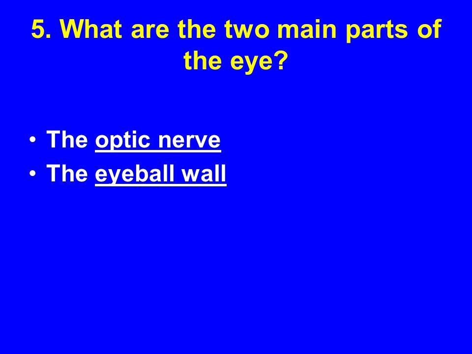 Chapter 14 Lesson 3 Guided Reading Activity 52 Eye Care Ppt What Are The Two Main Parts Of Eye Optic Nerve Eyeball Wall