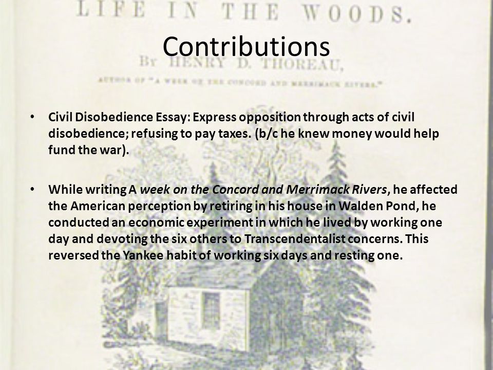 saul a linsky civil disobedience essay saul a linsky civil disobedience essay