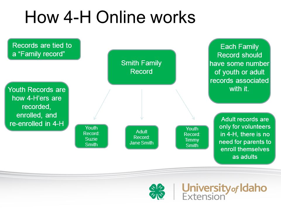 How 4-H Online works Records are tied to a Family record Adult records are only for volunteers in 4-H, there is no need for parents to enroll themselves as adults Each Family Record should have some number of youth or adult records associated with it.