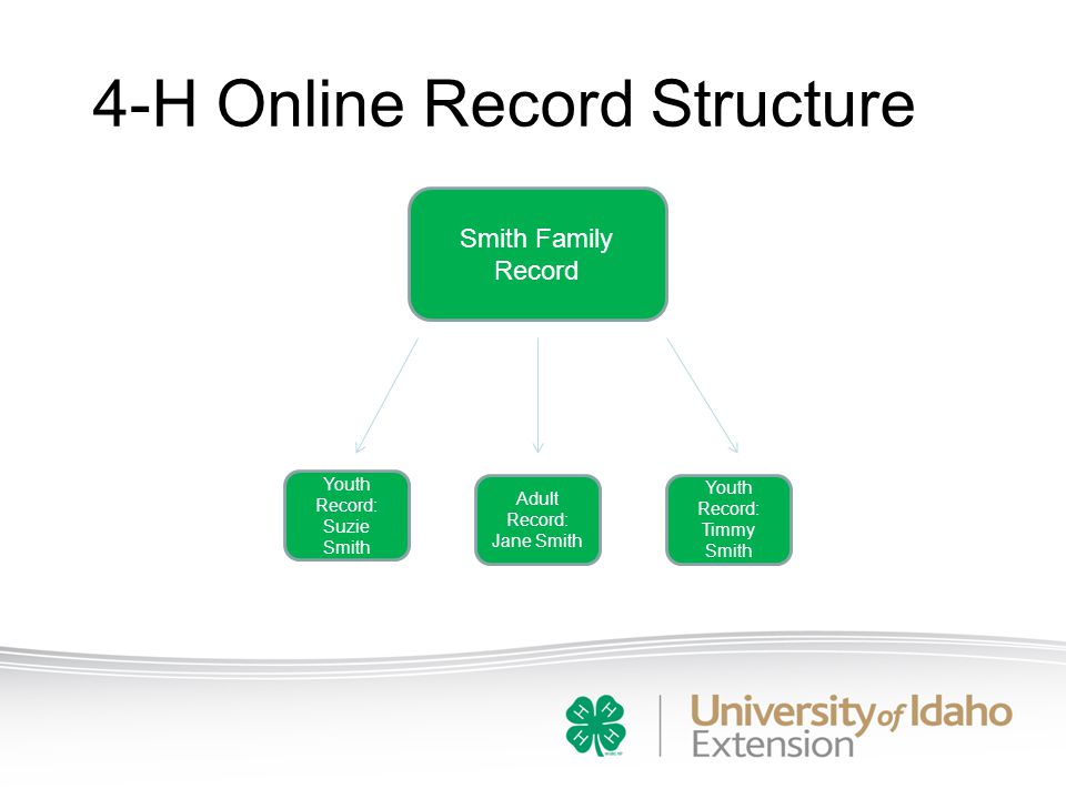 4-H Online Record Structure Smith Family Record Youth Record: Suzie Smith Youth Record: Timmy Smith Adult Record: Jane Smith