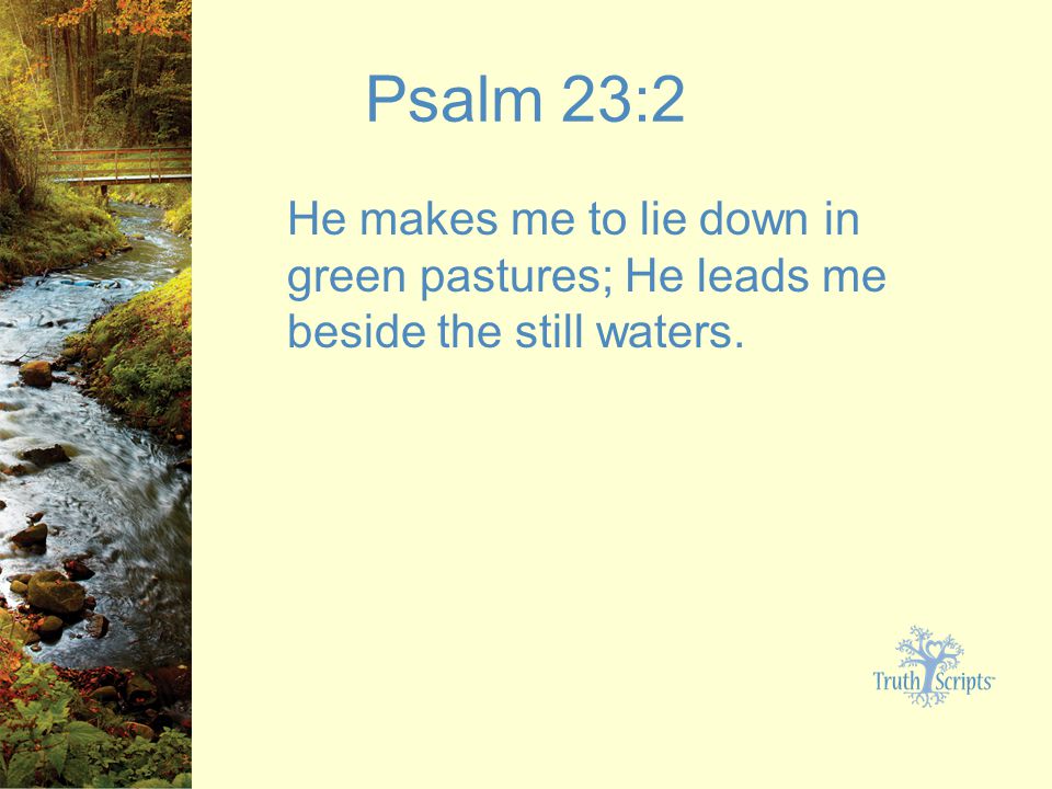 Psalm 23:2 He makes me to lie down in green pastures; He leads me beside the still waters.