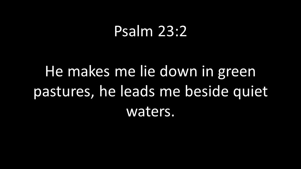 Psalm 23:2 He makes me lie down in green pastures, he leads me beside quiet waters.