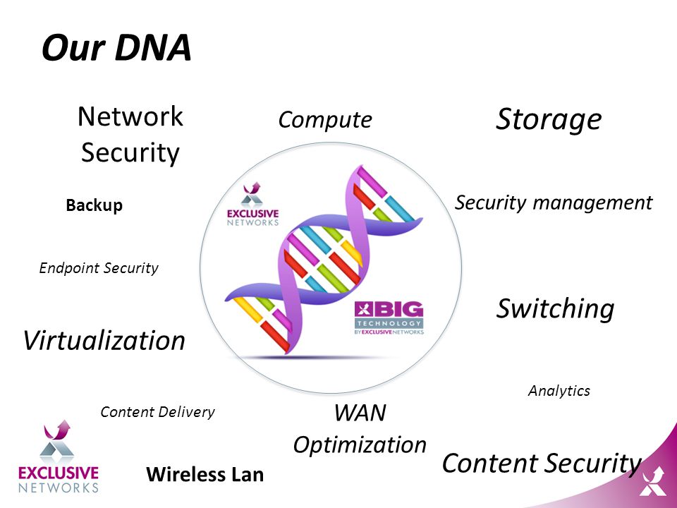 Our DNA Backup Security management Storage Content Delivery WAN Optimization Compute Switching Endpoint Security Network Security Analytics Virtualization Content Security Wireless Lan