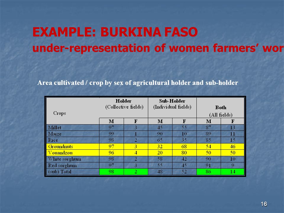 16 Area cultivated / crop by sex of agricultural holder and sub-holder EXAMPLE: BURKINA FASO under-representation of women farmers’ work