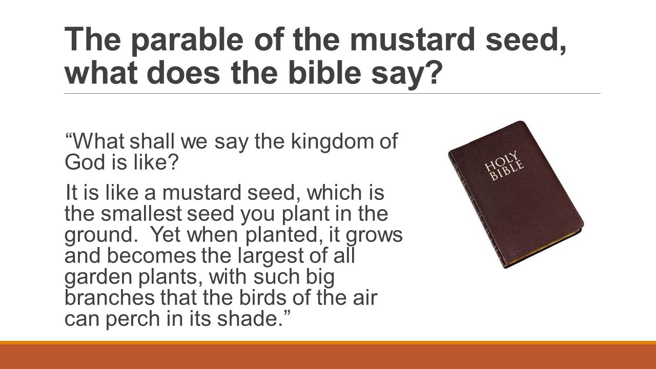 The parable of the mustard seed, what does the bible say.