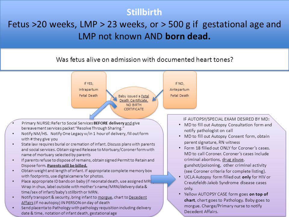 fetal death certificate
