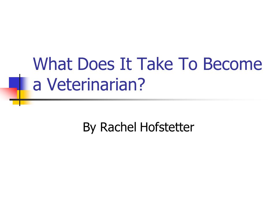 What Does It Take To Become a Veterinarian By Rachel Hofstetter