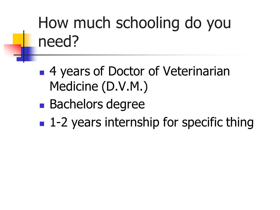 How much schooling do you need.
