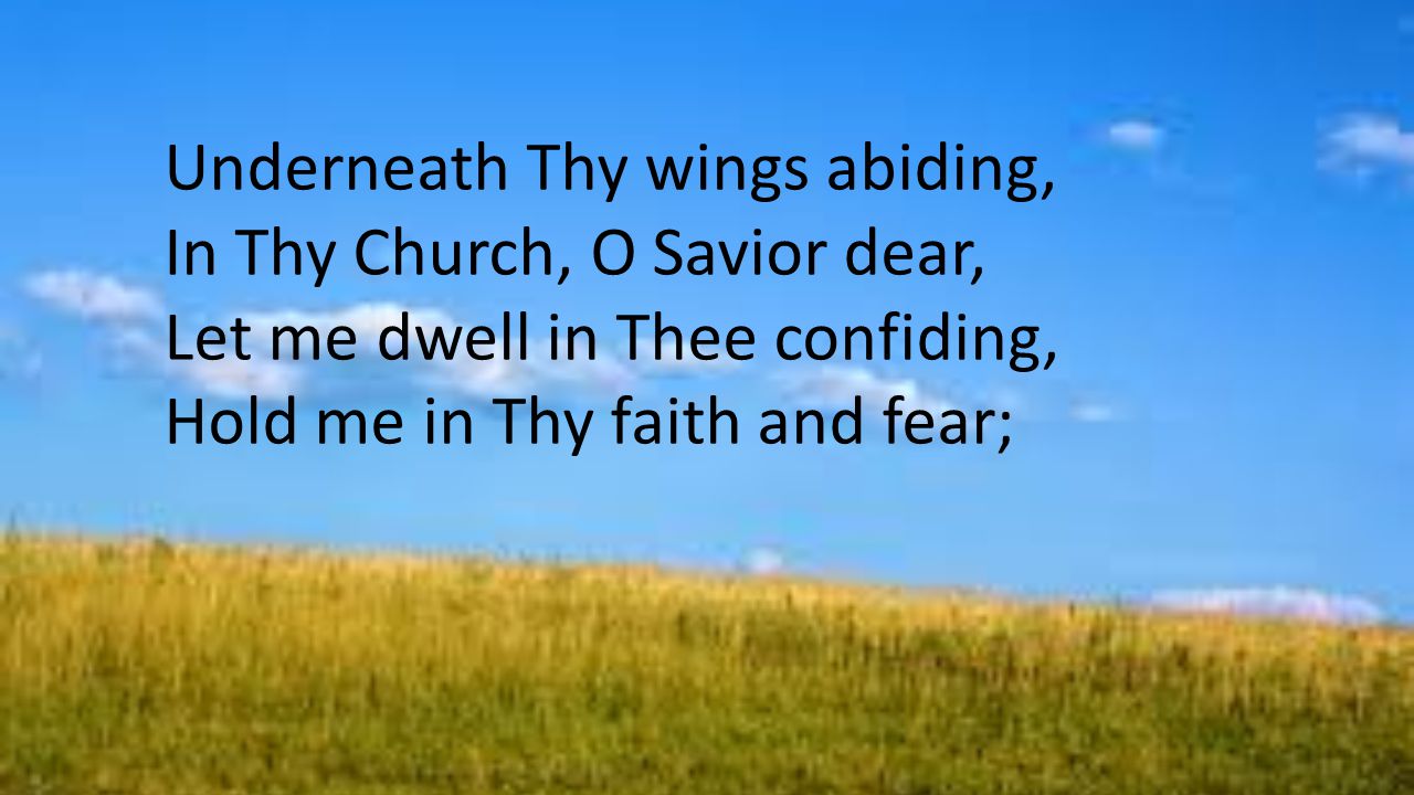 Underneath Thy wings abiding, In Thy Church, O Savior dear, Let me dwell in Thee confiding, Hold me in Thy faith and fear;
